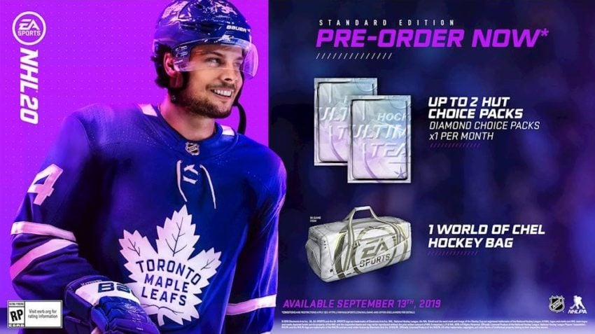 What you get with the NHL 20 standard edition.