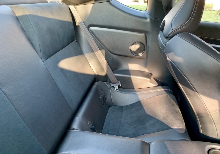 What is this a backseat for ants?