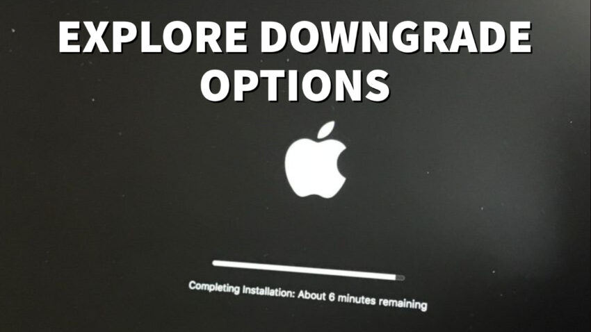 Learn About the macOS Beta Downgrade Options