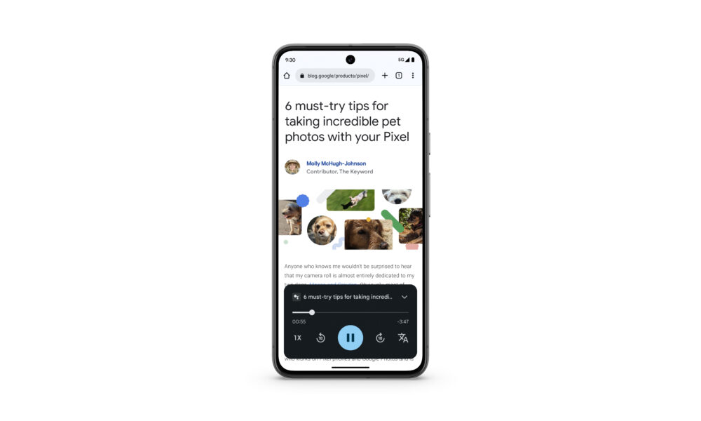 Pixel 8 Problems: 5 Things You Need to Know - Vimarsana News