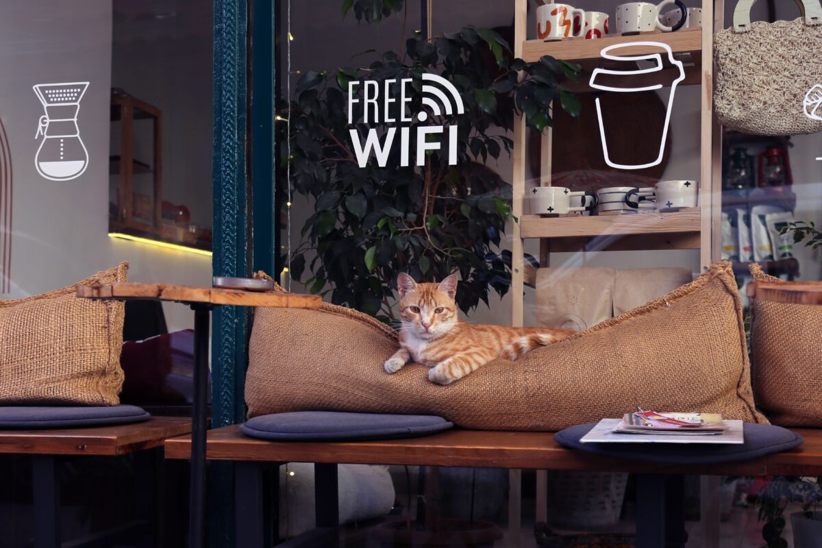 Free Wifi