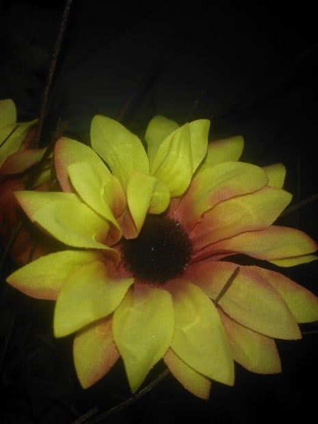 NOKIA Lumia 800_000047