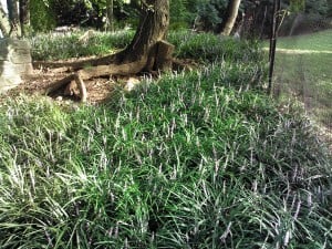 Outdoor shot in direct sunlight - Toshiba Thrive camera