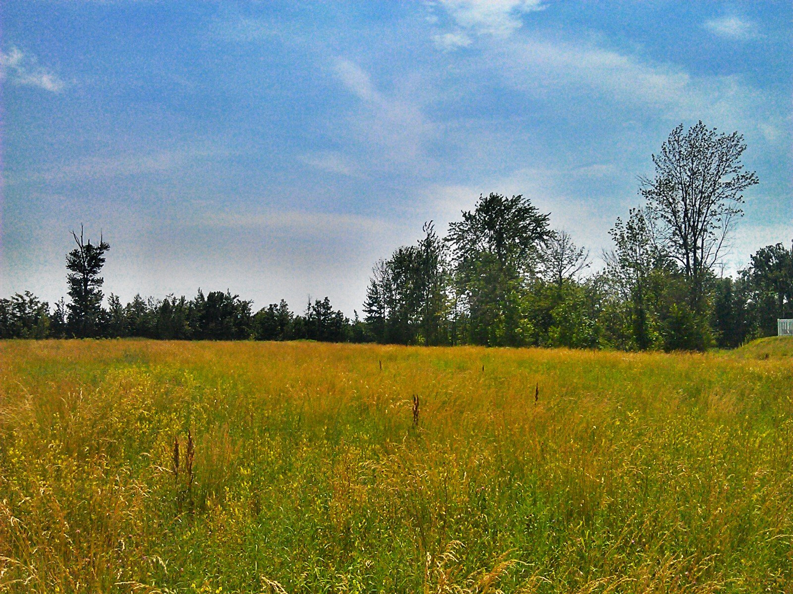 camera 360 Android app HDR effect