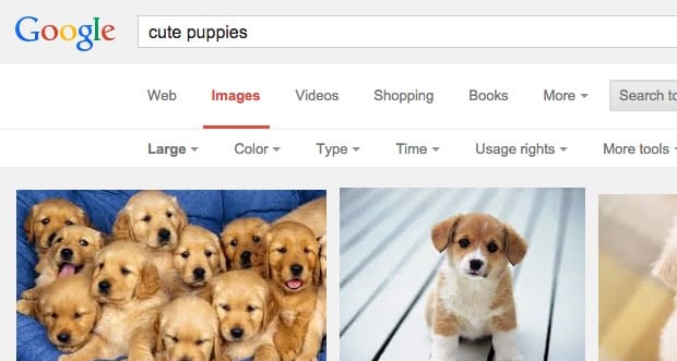 google-search-16