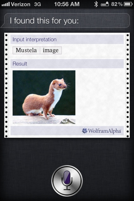 iPhone 4S commercial Siri Weasel