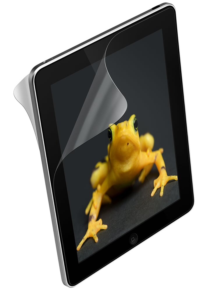 iPad 2 back protection
