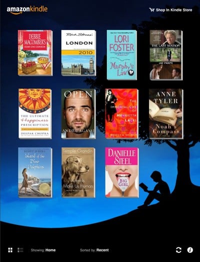 The Kindle app for iPad.
