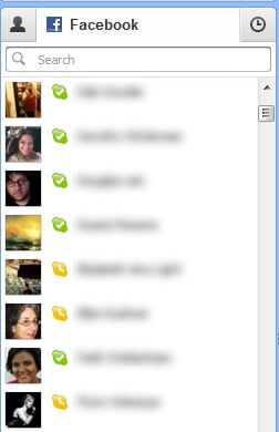 Skype 5.5 Facebook Contacts List