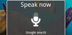 Google Voice Recognition